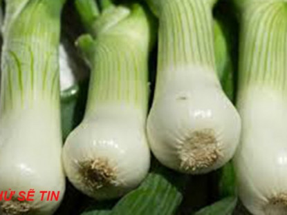 Thông tin doanh nghiệp - Từng bị trào ngược dạ dày lâu năm giờ mới hiểu, hóa ra cách xử lý lại đơn giản đến như vậy