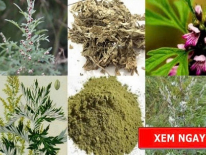 Thông tin doanh nghiệp - Học người Nhật bí quyết giảm đau xương khớp được truyền qua hàng trăm năm