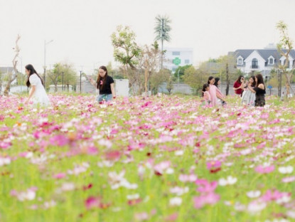 Thông tin doanh nghiệp - Happy Home Cà Mau – Chạm xuân, khởi triệu may mắn