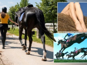 Bí mật phía sau trường đua: Áp lực, chất kích thích & những cuộc tình chớp nhoáng