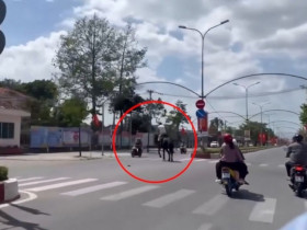 Clip: Hết hồn thanh niên cưỡi ngựa “hạ gục” người đi xe máy ngược chiều