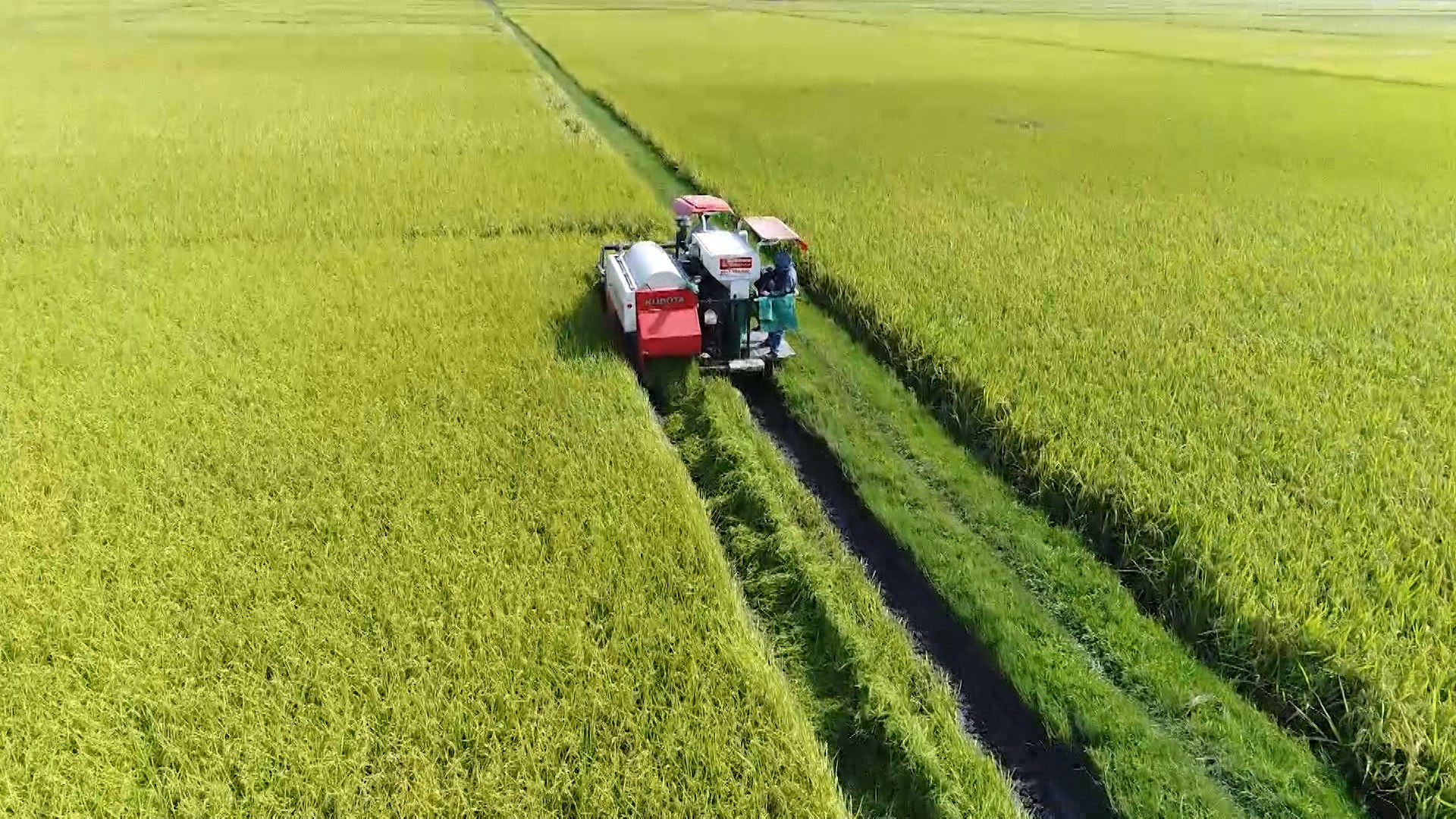 “Phố Hiến gọi biển xa” – Khúc ca về miền phù sa thức dậy - 4