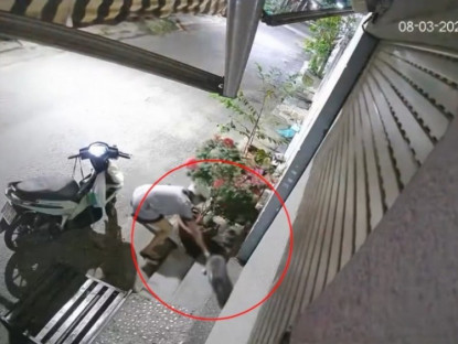 Giao thông - Clip: Trộm mèo bất thành, cô gái vít ga bỏ chạy khi chủ nhà lao ra rượt đuổi