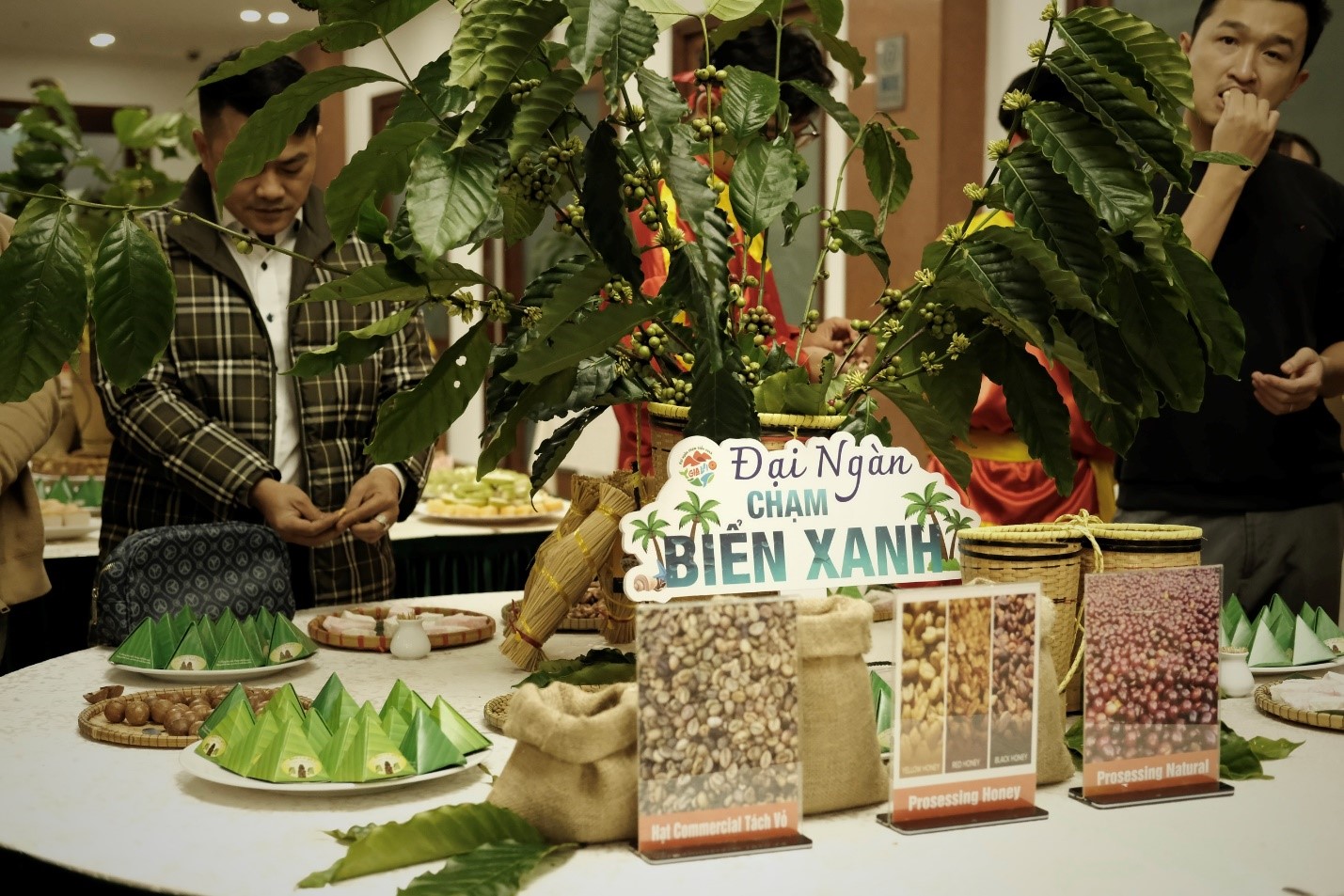 Gia Lai trước thềm năm du lịch Quốc gia 2026: Đại ngàn sắp chạm biển xanh - 4