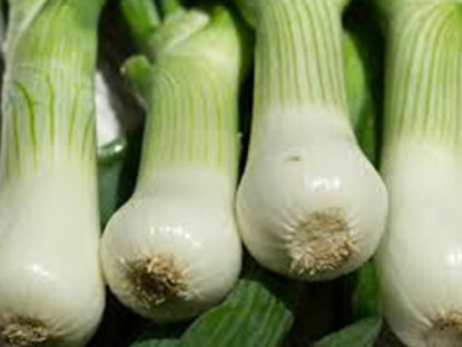 Thông tin doanh nghiệp - Rối loạn tiền đình gây đau đầu, chóng mặt, mất ngủ, căng thẳng: Căn bệnh của thời đại hành hạ bất cứ lứa tuổi nào đã tìm ra giải pháp