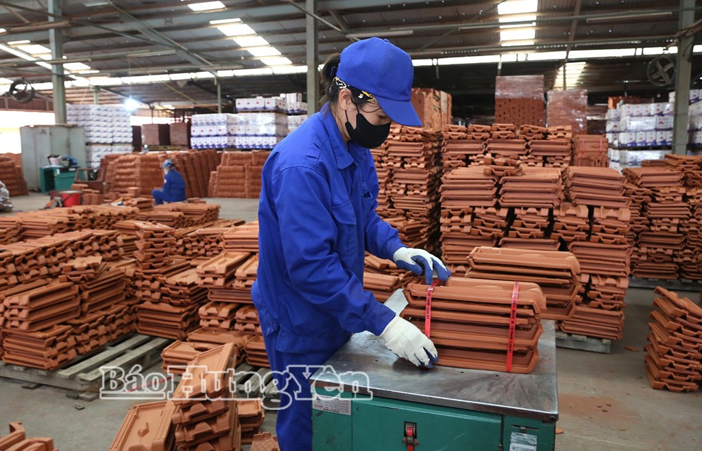 Từ đất hóa tinh hoa - 1