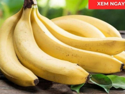 Thông tin doanh nghiệp - Thời điểm ăn chuối tốt hơn cả thuốc bổ, giúp phổi thông thoáng, ho giảm, đàm loãng và thở dễ hơn