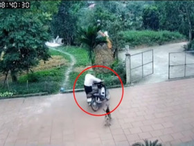 Clip: Phóng xe sang nhà hàng xóm, người đàn ông bị chó đuổi lao thẳng vào hàng rào