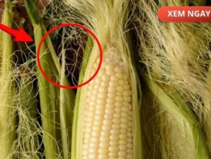 Thông tin doanh nghiệp - Bộ phận thường bị vứt bỏ, nhưng nếu dùng đúng cách lại trở thành “nước đại bổ” giúp giảm tiểu đêm, tiểu nhiều lần