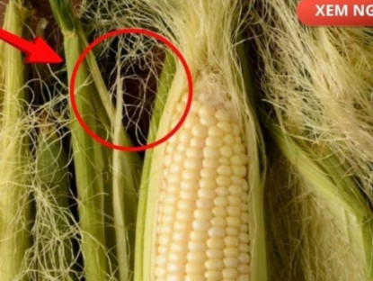 Thông tin doanh nghiệp - Bộ phận thường bị vứt bỏ, nhưng nếu dùng đúng cách lại trở thành “nước đại bổ” giúp giảm tiểu đêm, tiểu nhiều lần