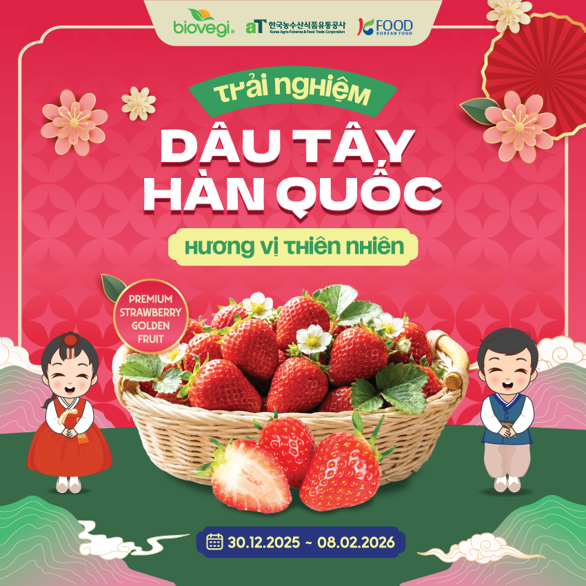 Sức hút từ vị ngọt thiên nhiên của Dâu tây Hàn Quốc tại chương trình Sampling cùng Biovegi - 1