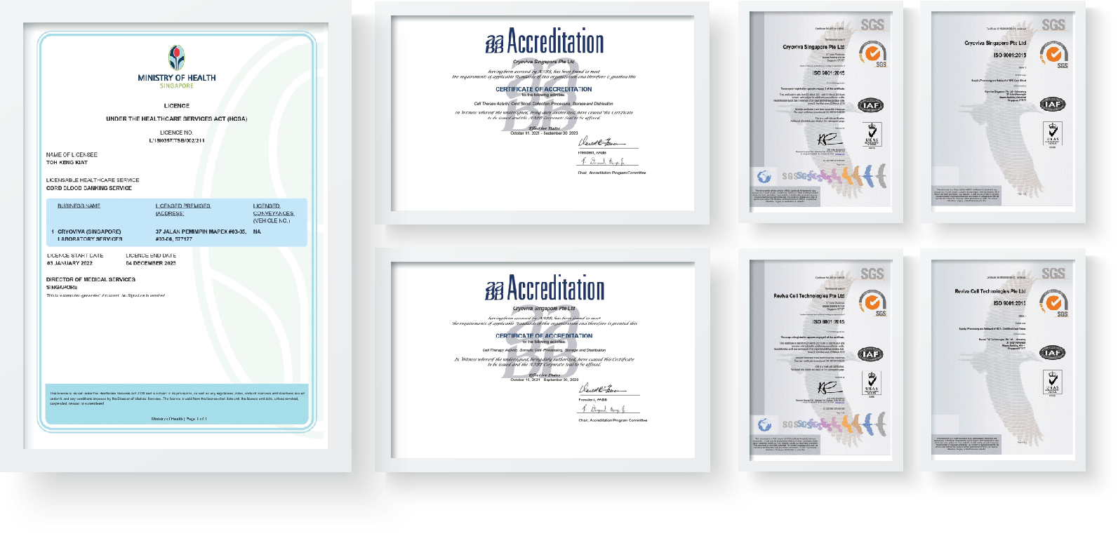 Điểm chung của con sao Việt: Món quà sức khỏe đầu đời từ tế bào gốc cuống rốn - 3