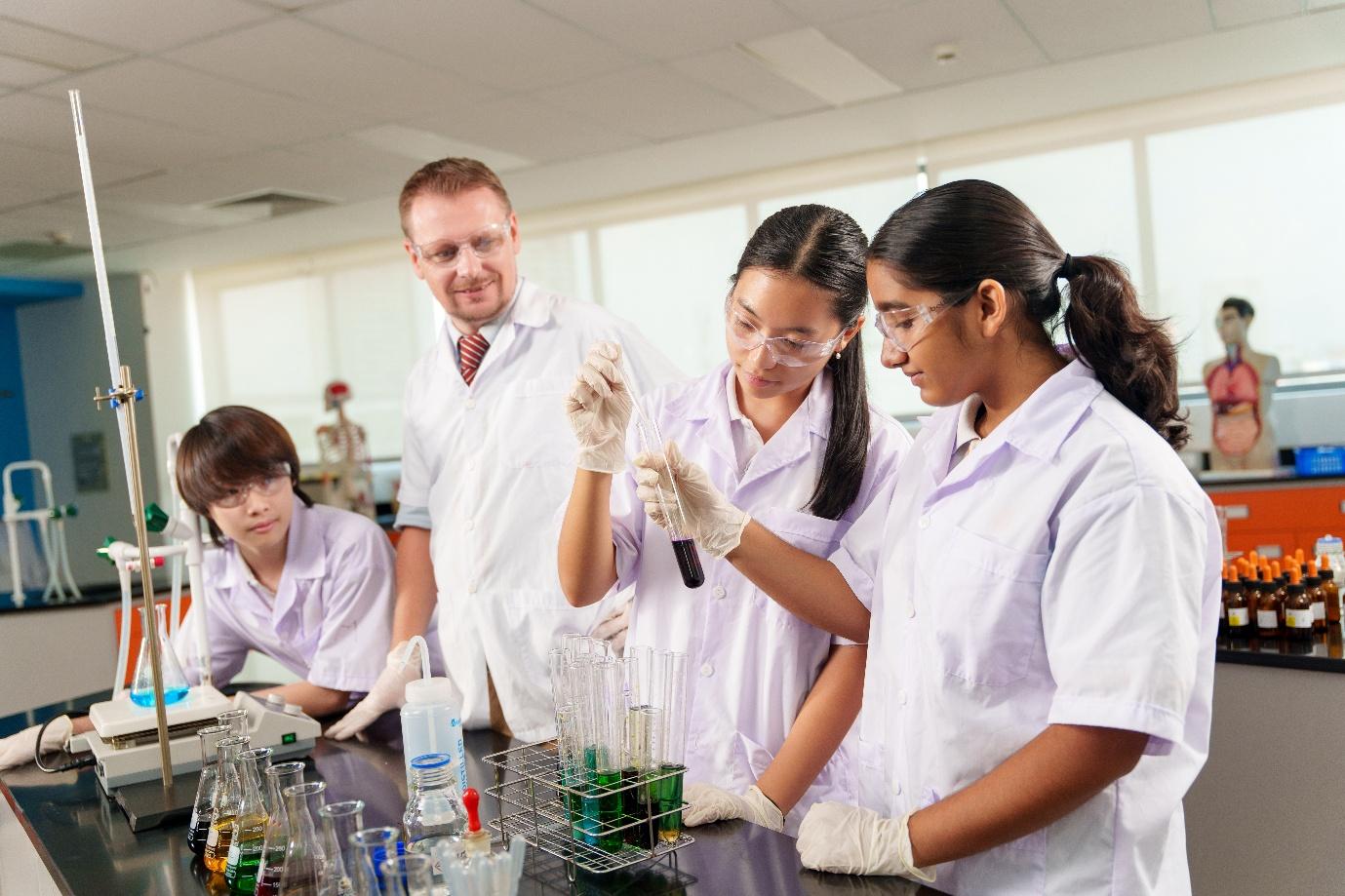 Trường Quốc tế Châu Âu TP.HCM chính thức đạt kiểm định quốc tế WASC - 2