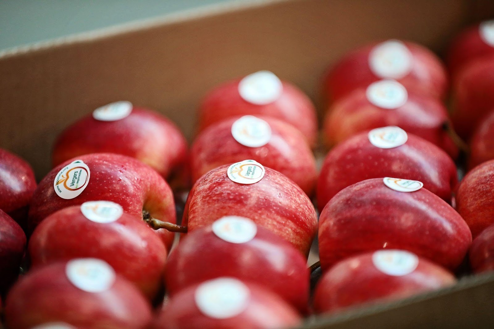 Vì sao gia đình Việt xem táo Pháp là “tiêu chuẩn vàng” khi chọn trái cây nhập khẩu? - 3