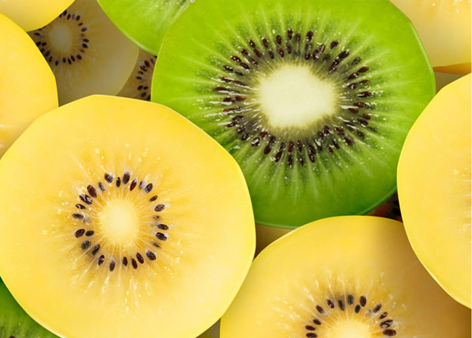 Bà bầu nên ăn kiwi xanh hay vàng? Top lợi ích đặc biệt khi bà bầu ăn kiwi - 3