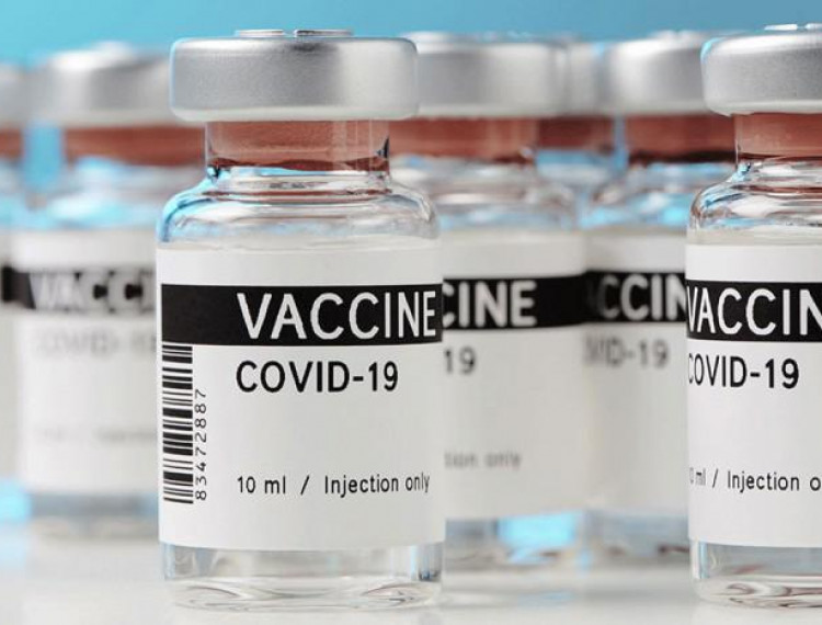 Thái Lan thử nghiệm thành công vắcxin ngừa COVID-19 trên khỉ và chuột