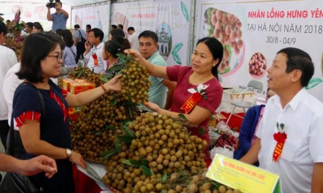 Gỡ khó cho quả nhãn thời đại dịch Covid-19 - 4