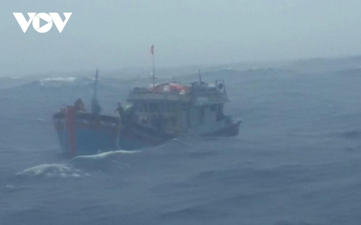 Kịp thời cứu 14 ngư dân Quảng Ngãi bị nạn trên biển - 1