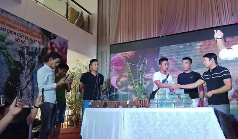 Bong bóng lan Phi điệp: Khi thú chơi tao nhã sặc mùi tiền - 1