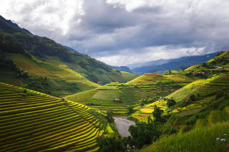 Về Yên Bái ghé qua vùng Cốm Tú Lệ - 1