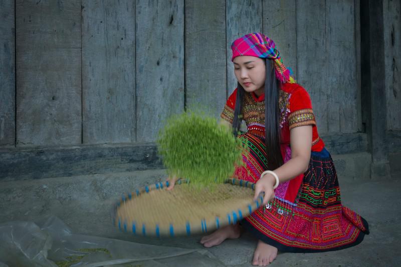 Về Yên Bái ghé qua vùng Cốm Tú Lệ - 3