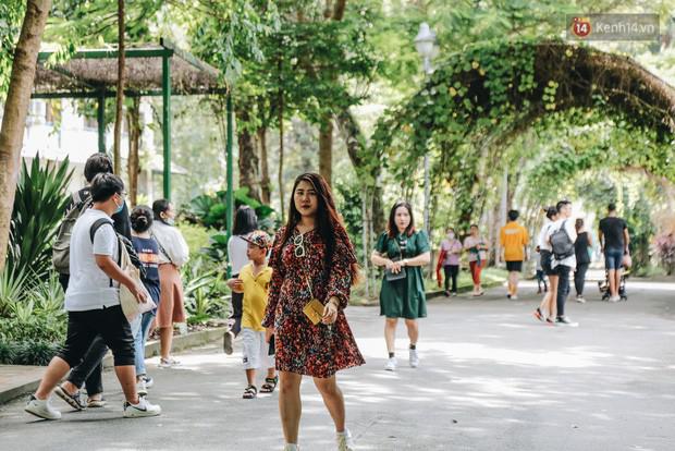 Người Sài Gòn góp cả chục tấn rau củ cùng hàng tỷ đồng, cứu đói bầy thú ở Thảo Cầm Viên - 1