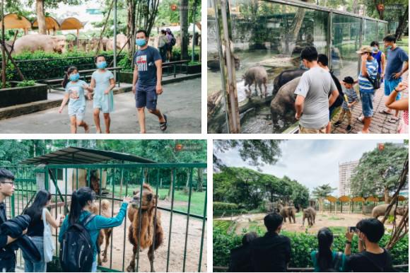 Người Sài Gòn góp cả chục tấn rau củ cùng hàng tỷ đồng, cứu đói bầy thú ở Thảo Cầm Viên - 2
