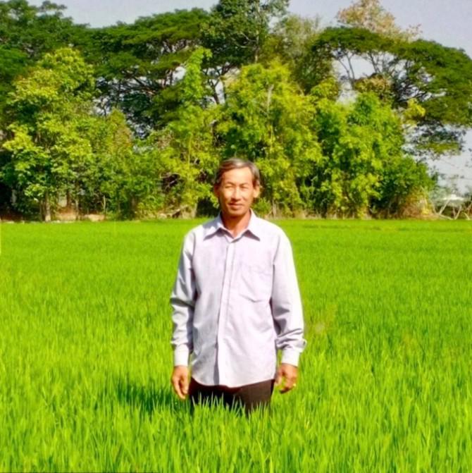 Làm thế nào để tăng năng suất lúa? - 1