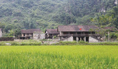 Độc đáo những ngôi nhà sàn bằng đá trên rẻo cao - 1
