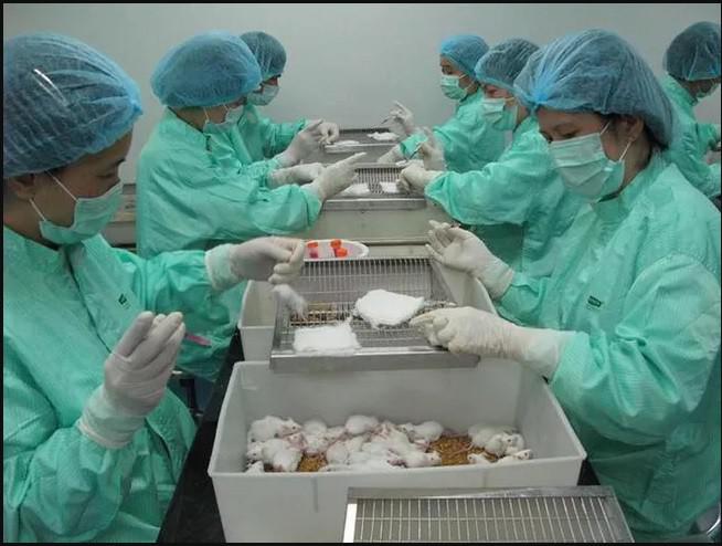 Việt Nam tiến hành thử nghiệm vaccine COVID-19 - 2
