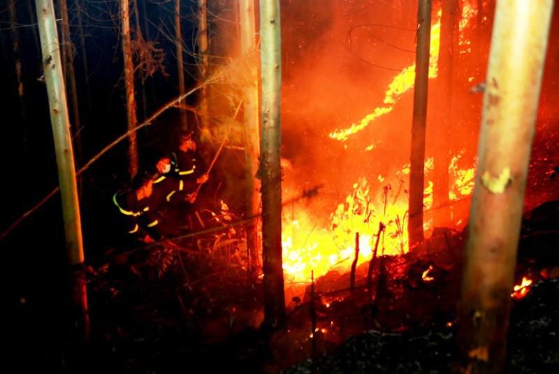 Cháy gần 10 ha rừng trồng tại Vĩnh Phúc - 1