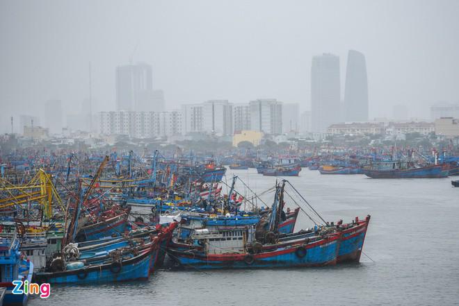 Bão số 5 khiến nhiều nhà tốc mái, mất điện - 9