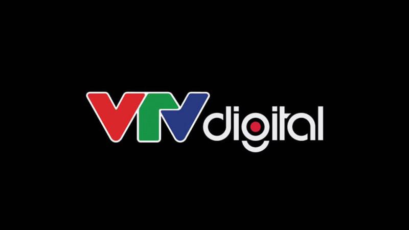 Có hay không sự việc liên quan đến một BTV của VTV? - 1