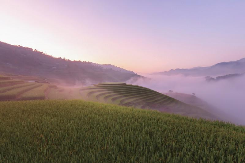 Mùa vàng lên với vùng cao - 1