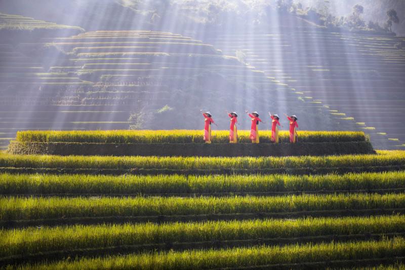 Mùa vàng lên với vùng cao - 2