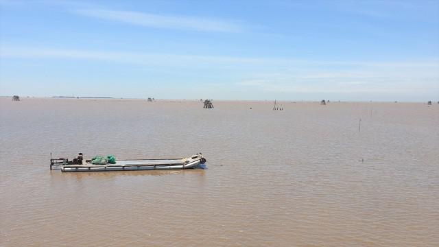 Lao đao vì hàng chục tấn ngao giá “rẻ như bèo”, bán không ai mua - 1