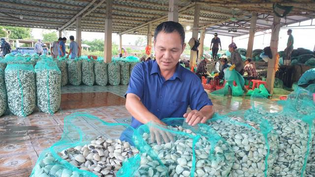 Lao đao vì hàng chục tấn ngao giá “rẻ như bèo”, bán không ai mua - 4
