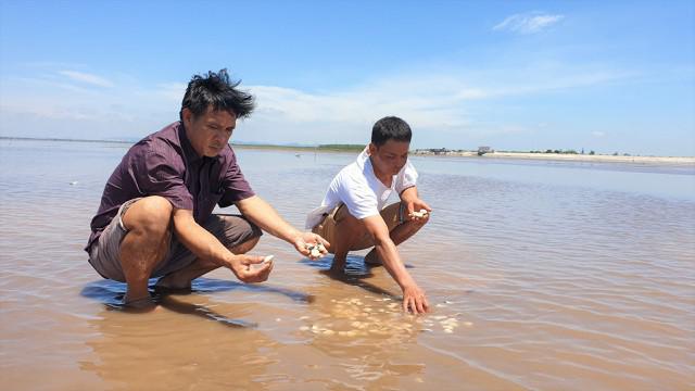 Lao đao vì hàng chục tấn ngao giá “rẻ như bèo”, bán không ai mua - 2