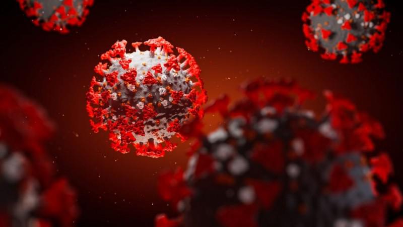 Phát hiện kháng thể có thể “vô hiệu hóa hoàn toàn” virus SARS-CoV-2 - 1