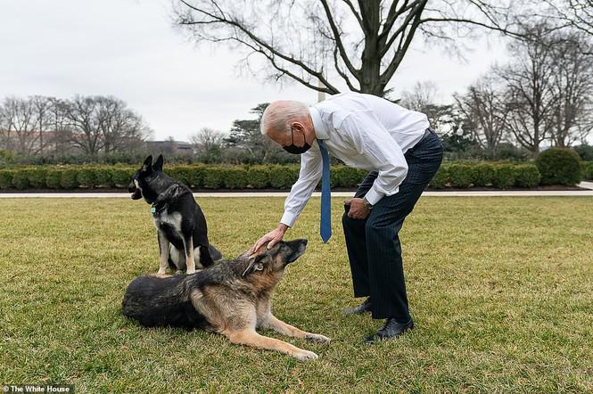 Loạt ảnh hiểm về cuộc sống trong Nhà Trắng của Tổng thống Joe Biden - 2