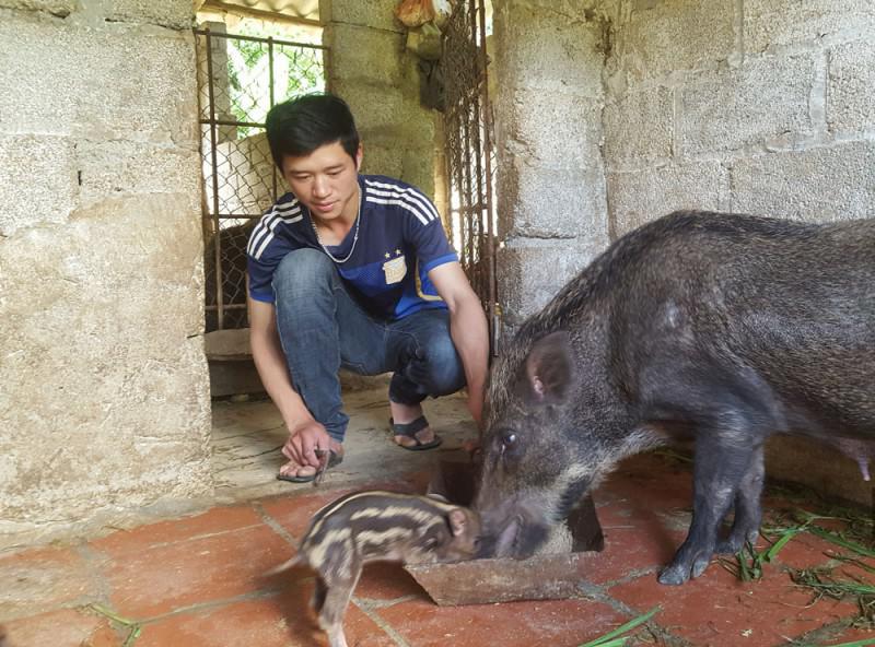 Cử nhân về làng làm nông dân, giải “cơn khát” nhân lực trình độ cao tại các hợp tác xã - 1