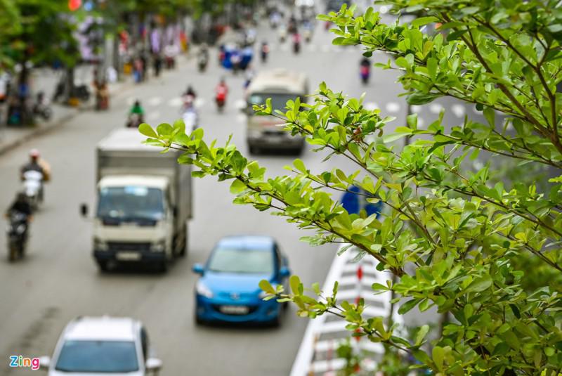 Diện mạo mới của đường Phạm Văn Đồng - 6
