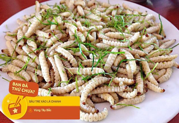 Sâu tre béo mẫm, muốn ăn thì phải giành giật - 2