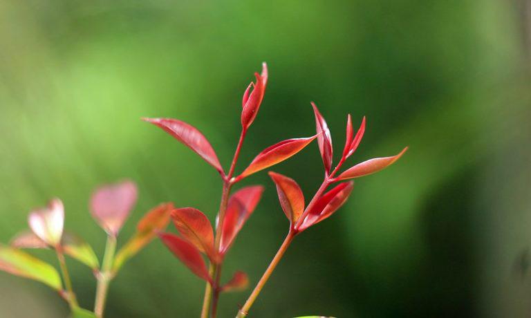 Bầu trời và hạt cát - 1