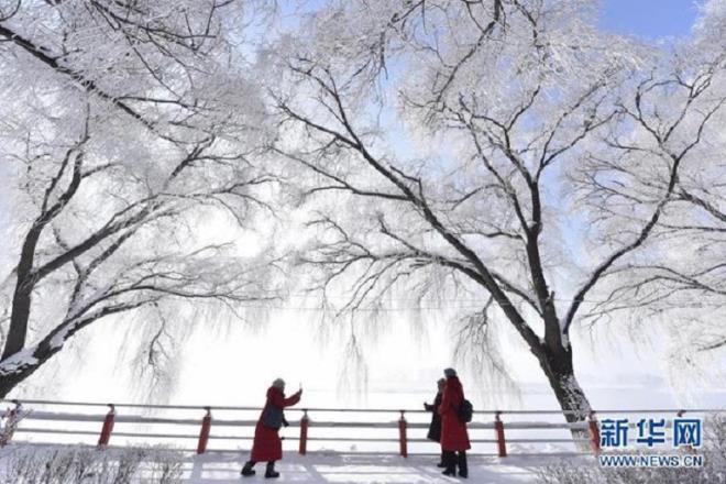 Tuyết đầu mùa phủ trắng nhiều nơi ở Trung Quốc - 8