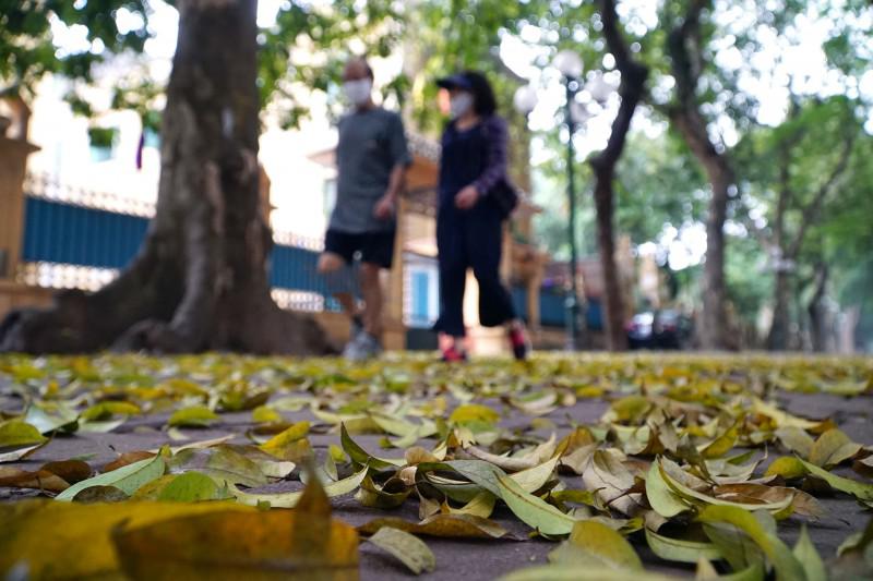Hà Nội nhẹ nhàng vào thu - 3