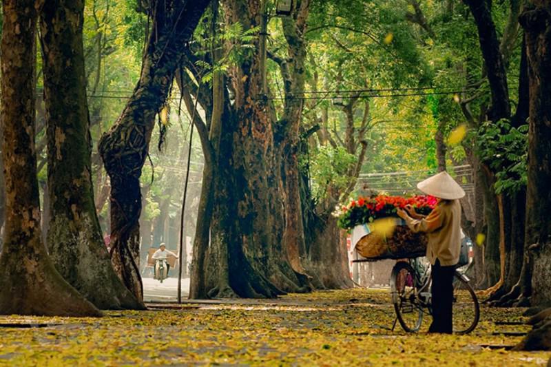Hà Nội nhẹ nhàng vào thu - 1