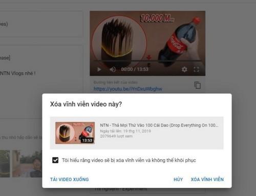 Nhiều YouTuber vội vàng xóa video nhảm nhí, xấu độc sau khi Hưng Troll bị phạt - 2