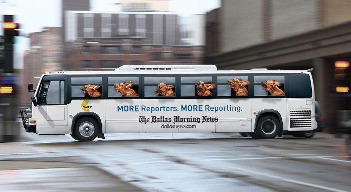 "Xe bus độc lạ" Bạn có muốn ngồi thử? - 7