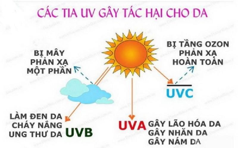 Những tác hại điển hình của tia UV đối với làn da của phái đẹp - 1